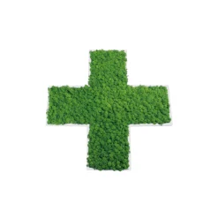 Croix pharmacie végétale 50/50cm